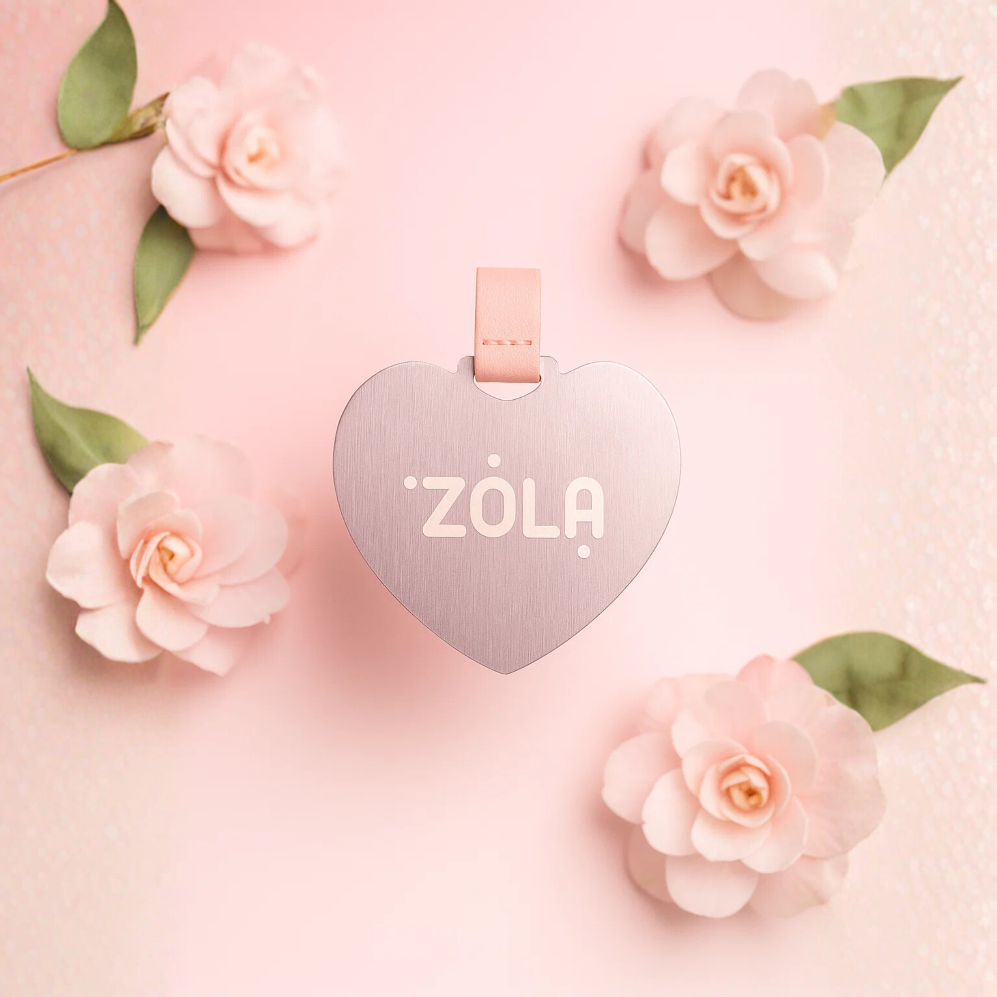 busta zola (4)